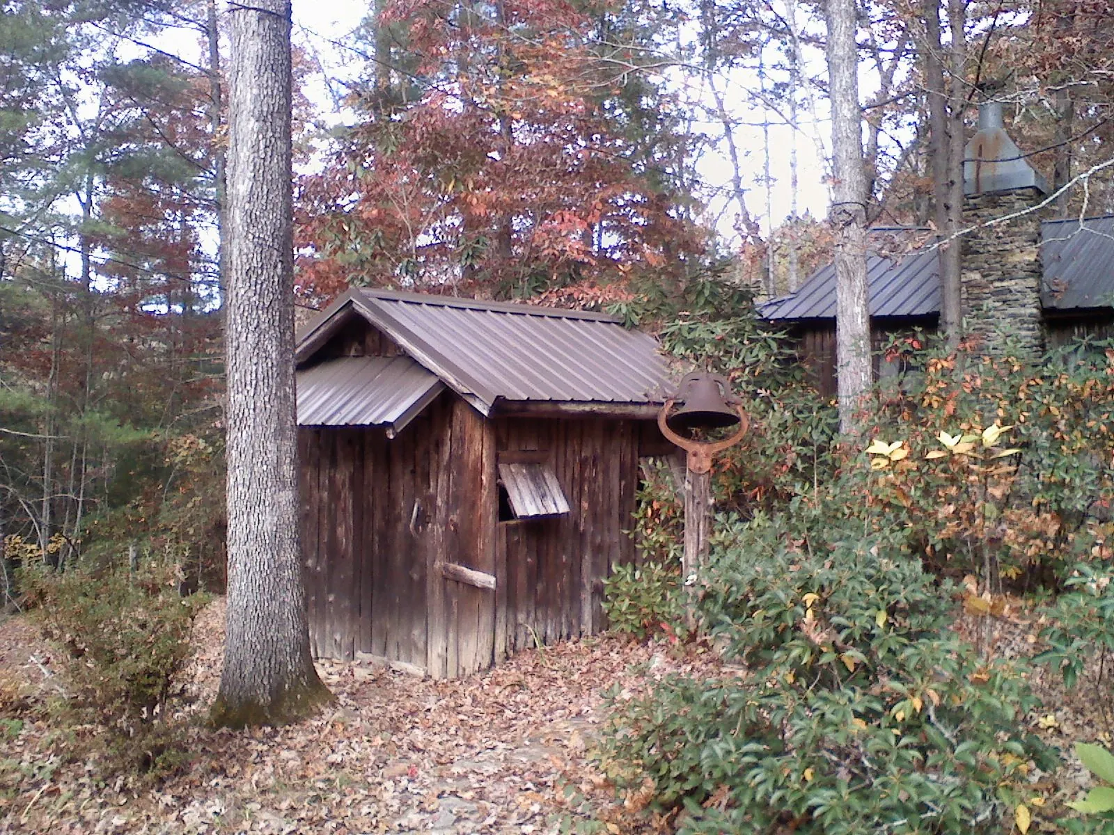 Small metal roof on a rough sawn shed in the woods in Cleveland